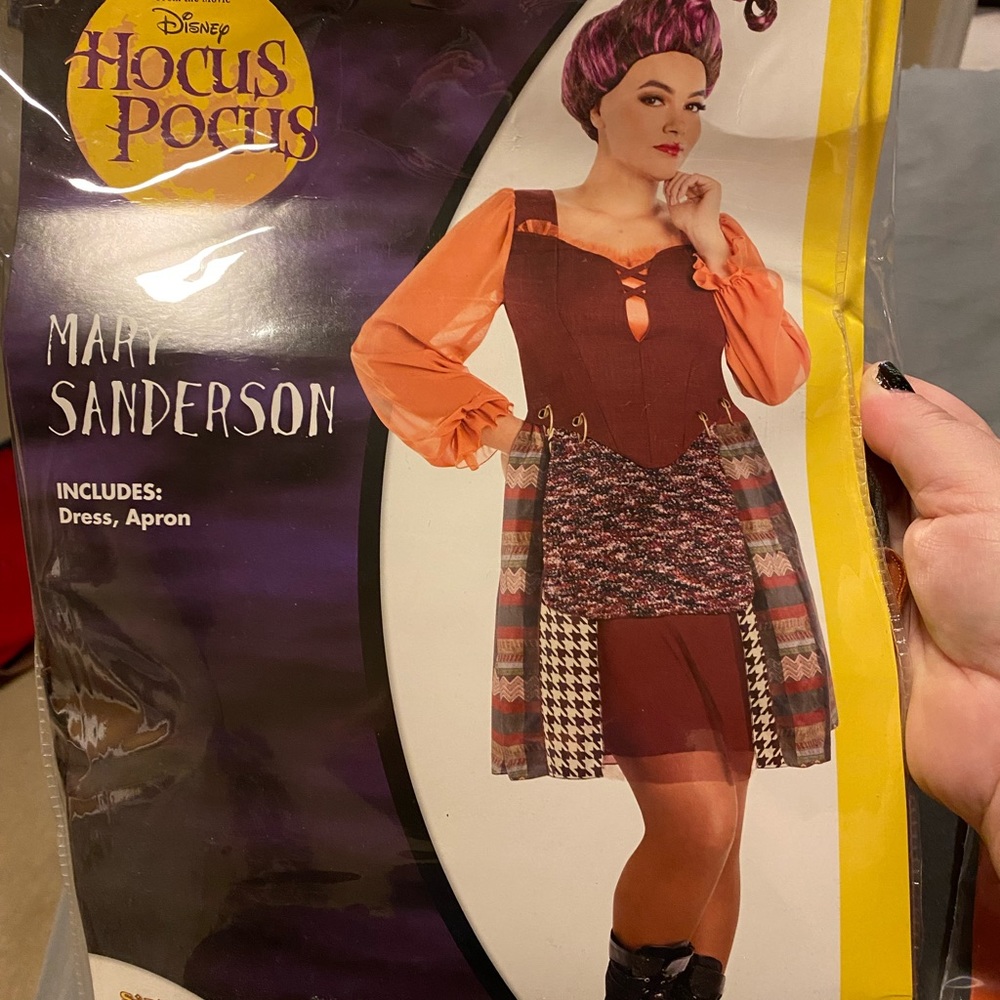 Mary Hocus Pocus costume